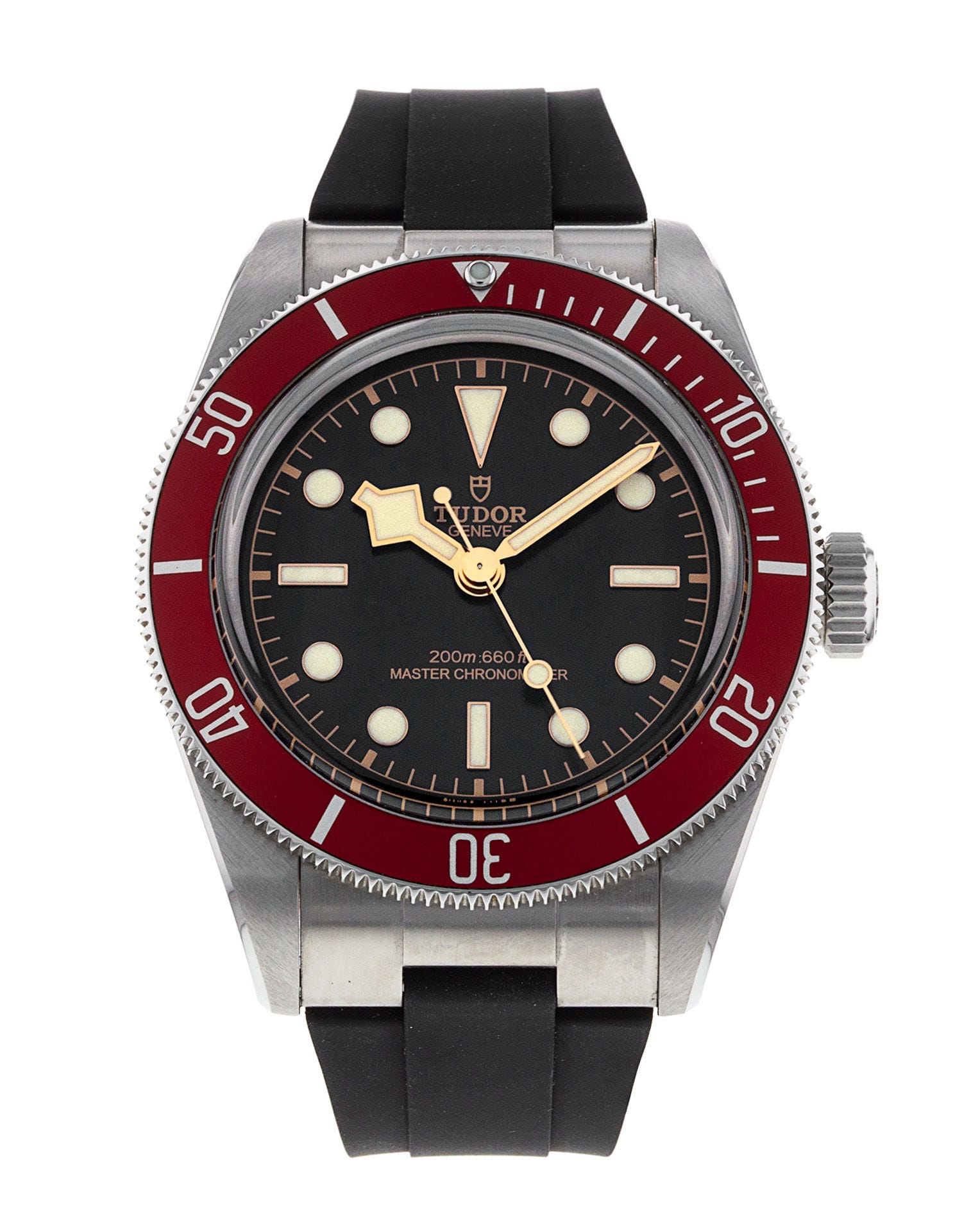 Tudor Black Bay M7941A1A0RU-0002 262797
