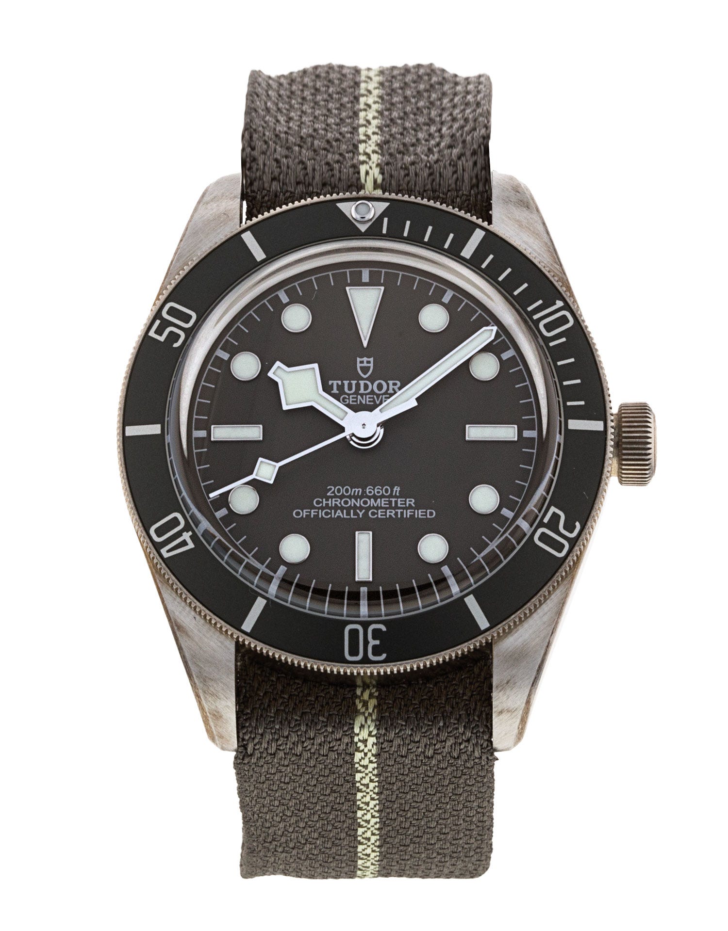 Tudor Black Bay 58 M79010SG-0002 276029